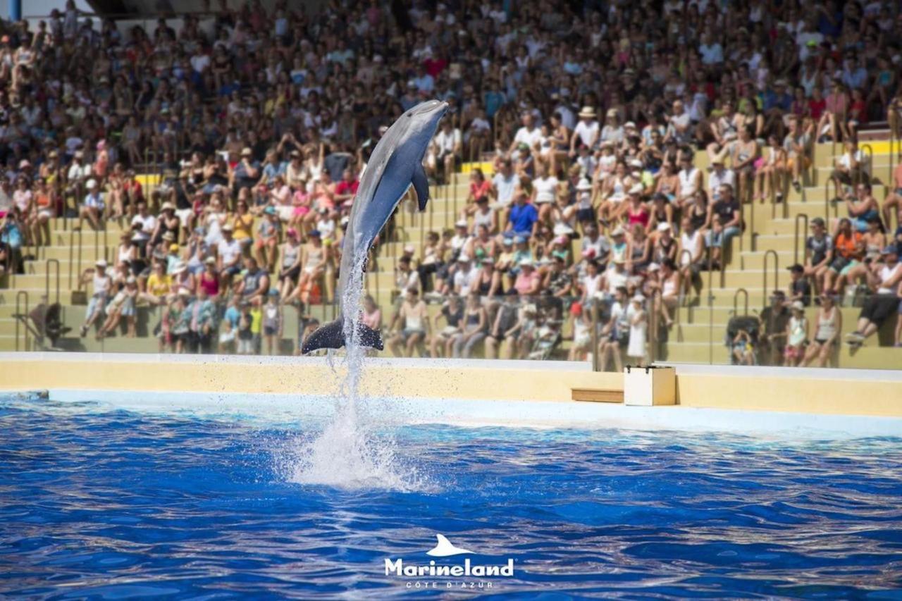 Appartement Marineland Sea View Antibes Eksteriør bilde