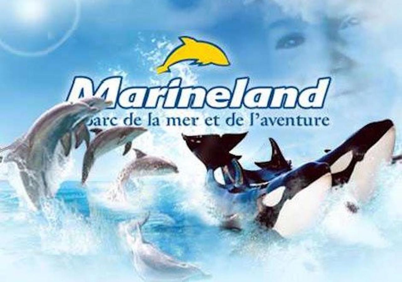 Appartement Marineland Sea View Antibes Eksteriør bilde